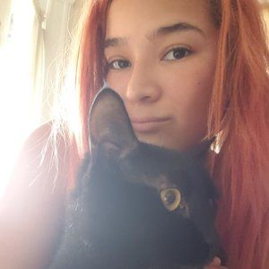 Meet your Posher, Vilmarie